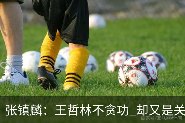 张镇麟：王哲林不贪功 却又是关键时刻能站出来的人 队长当之无愧
